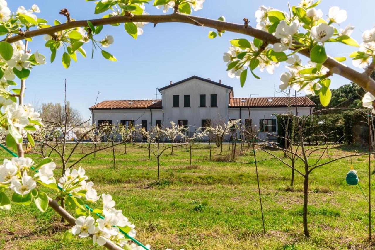 Agriturismo Ca' Baccan คาวัลลิโน-เตรปอร์ติ ภายนอก รูปภาพ