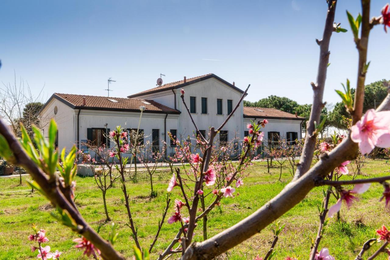 Agriturismo Ca' Baccan คาวัลลิโน-เตรปอร์ติ ภายนอก รูปภาพ