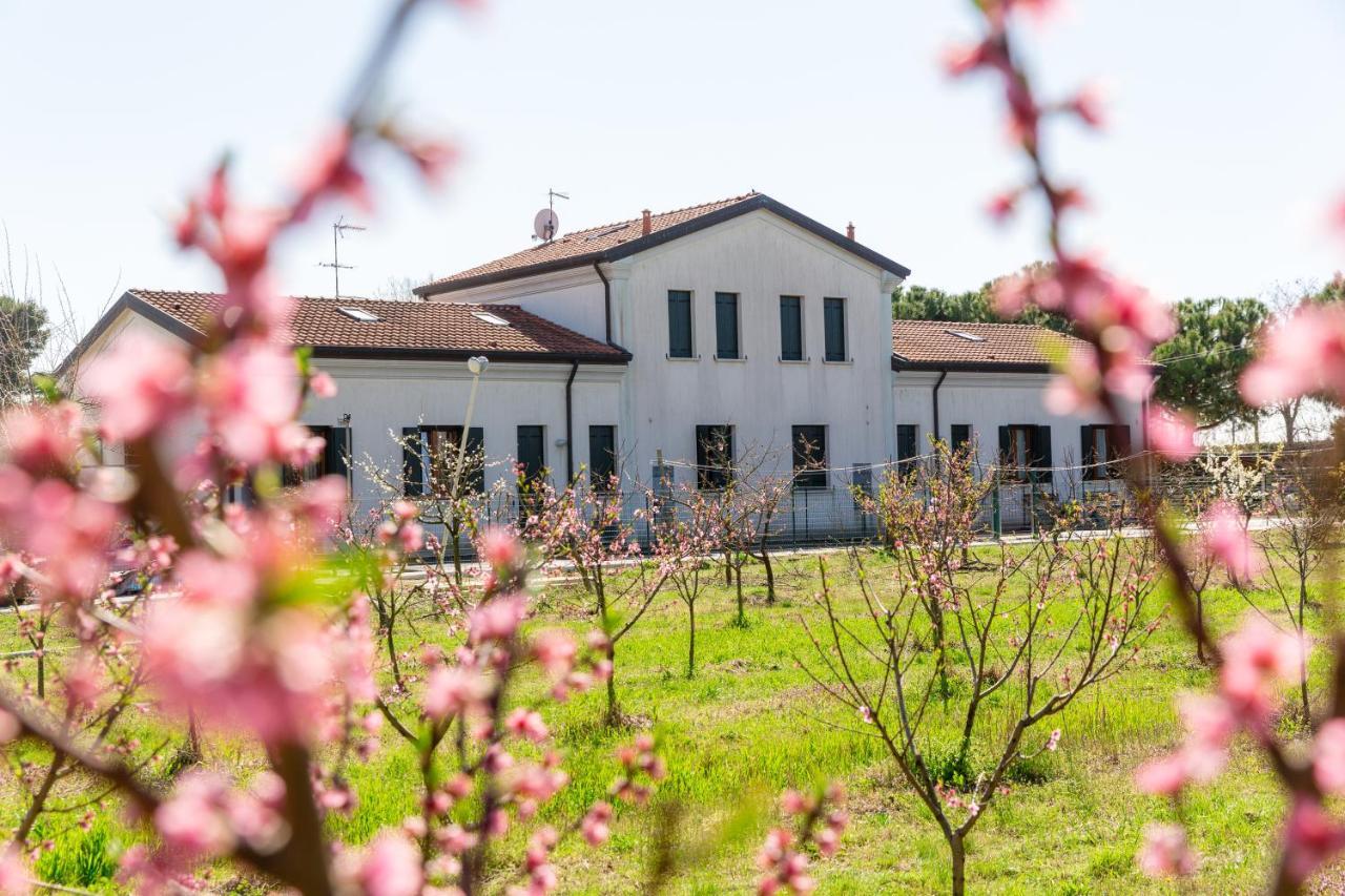 Agriturismo Ca' Baccan คาวัลลิโน-เตรปอร์ติ ภายนอก รูปภาพ